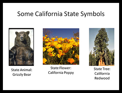 Sample State Symbols Slide